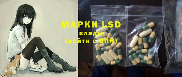 бошки Няндома