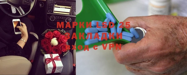 прущие грибы Ельня