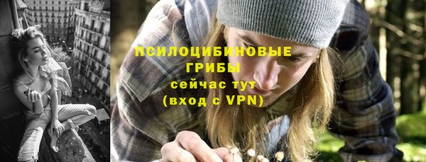 меф Дмитриев