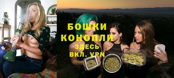 меф Дмитриев